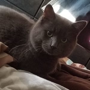 Meet your Posher, Leanne